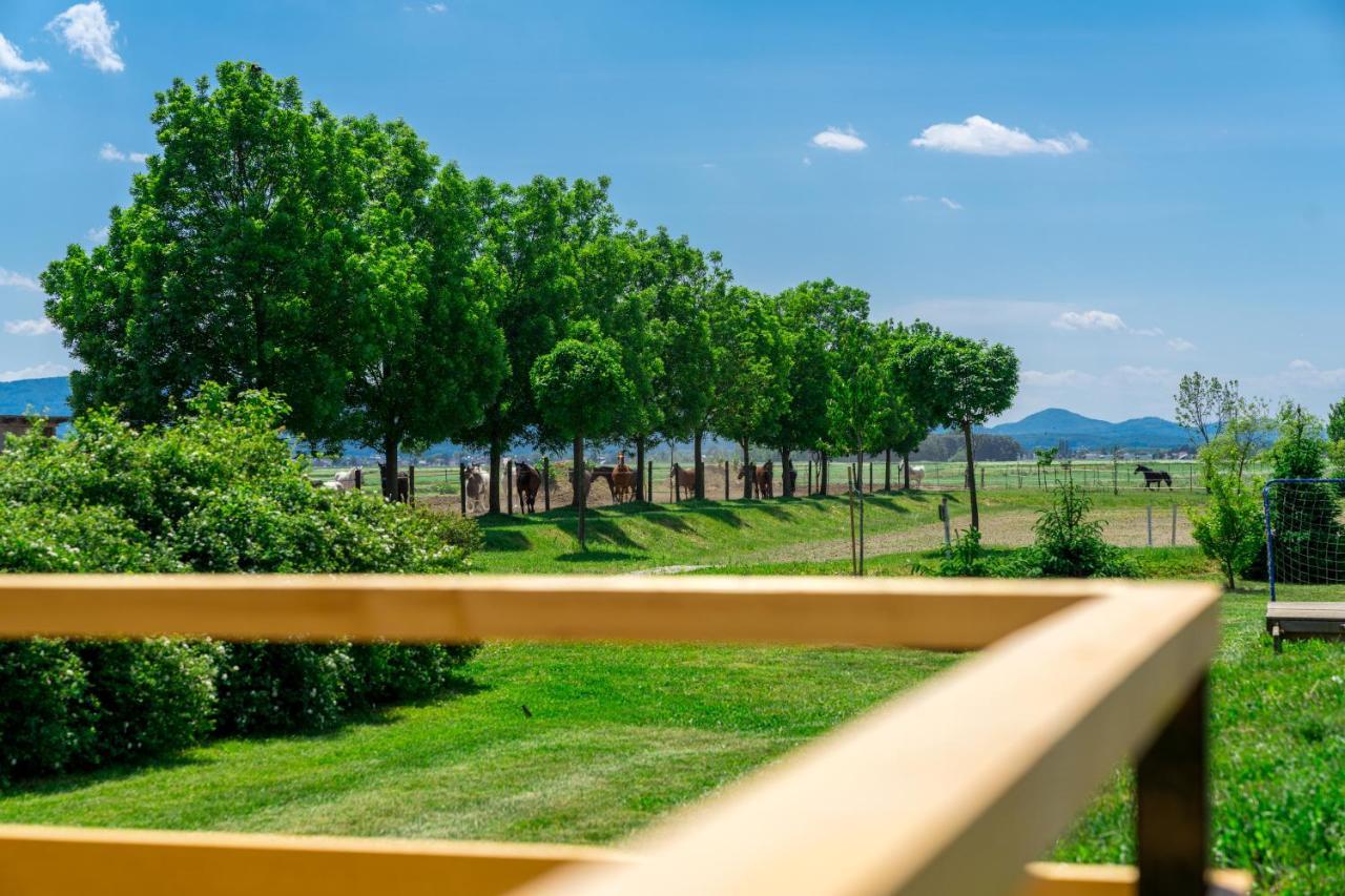Horse Glamping Park Hotel Cirkovce Kültér fotó