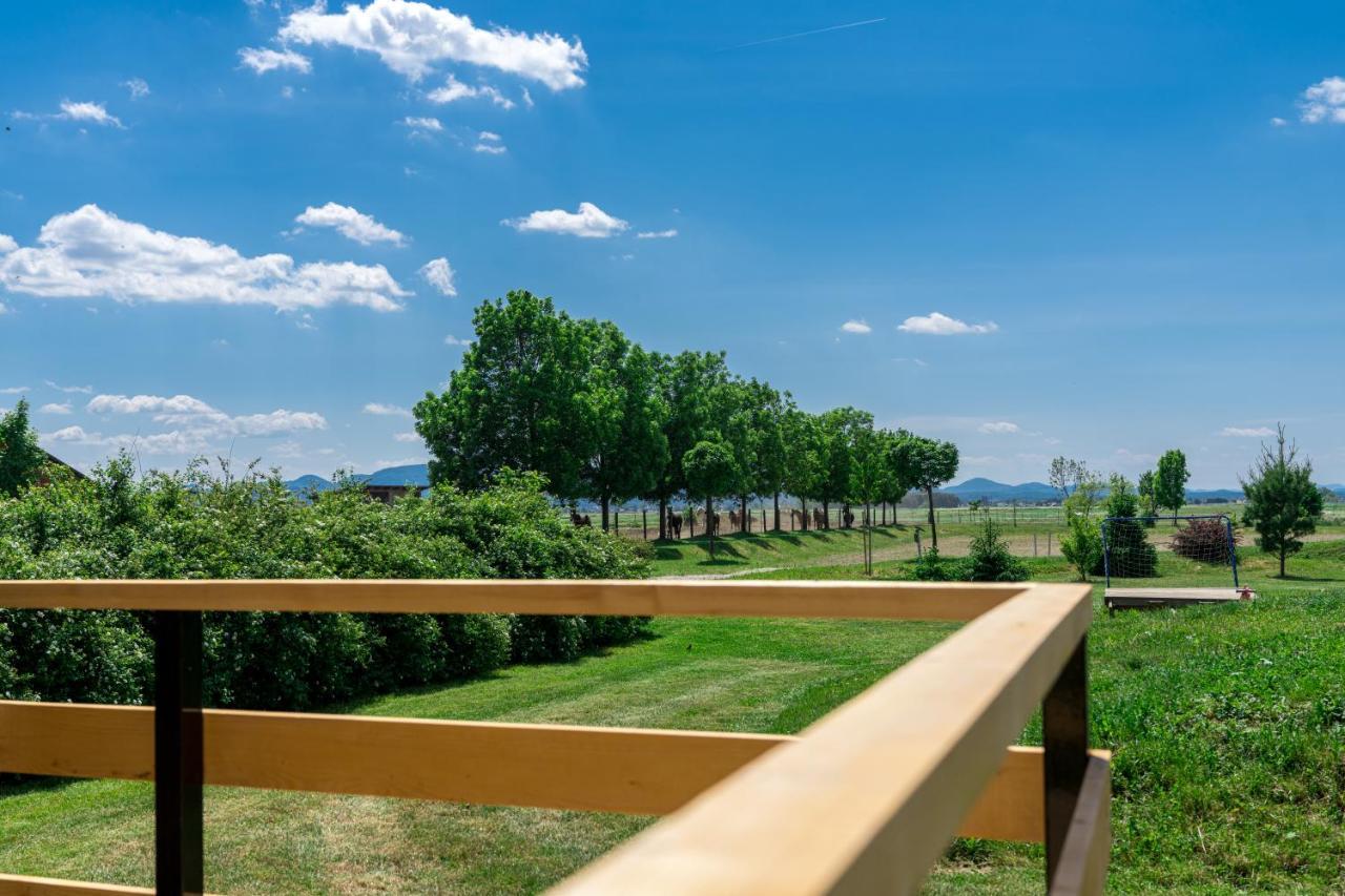 Horse Glamping Park Hotel Cirkovce Kültér fotó